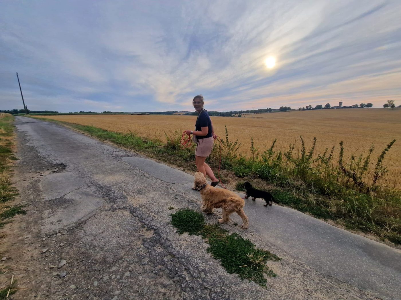 Wandeling met twee honden langs een veld bij zonsondergang